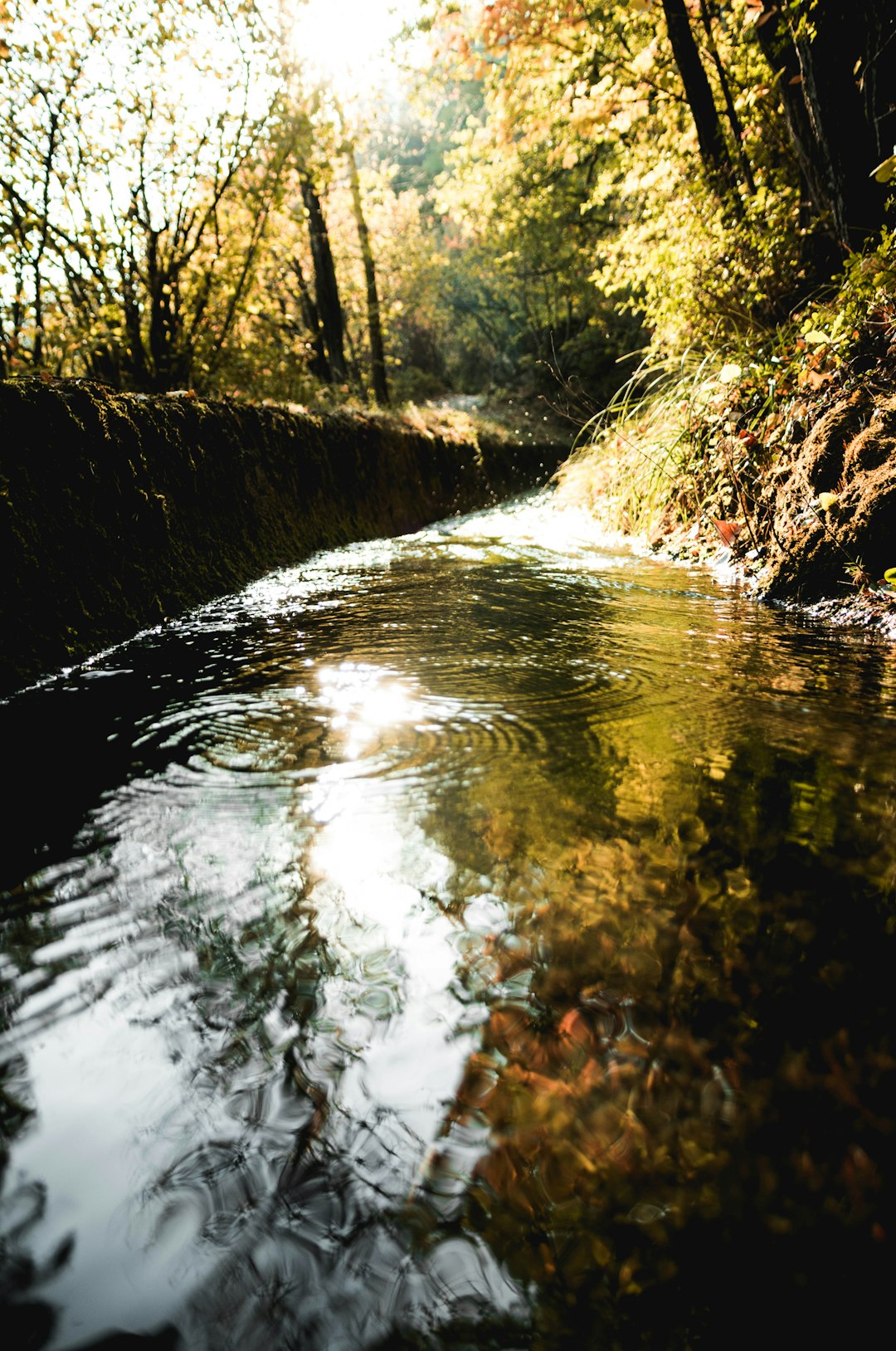 Stream photo spot Bisse de Clavau Switzerland