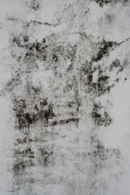 a black and white photo of a wall