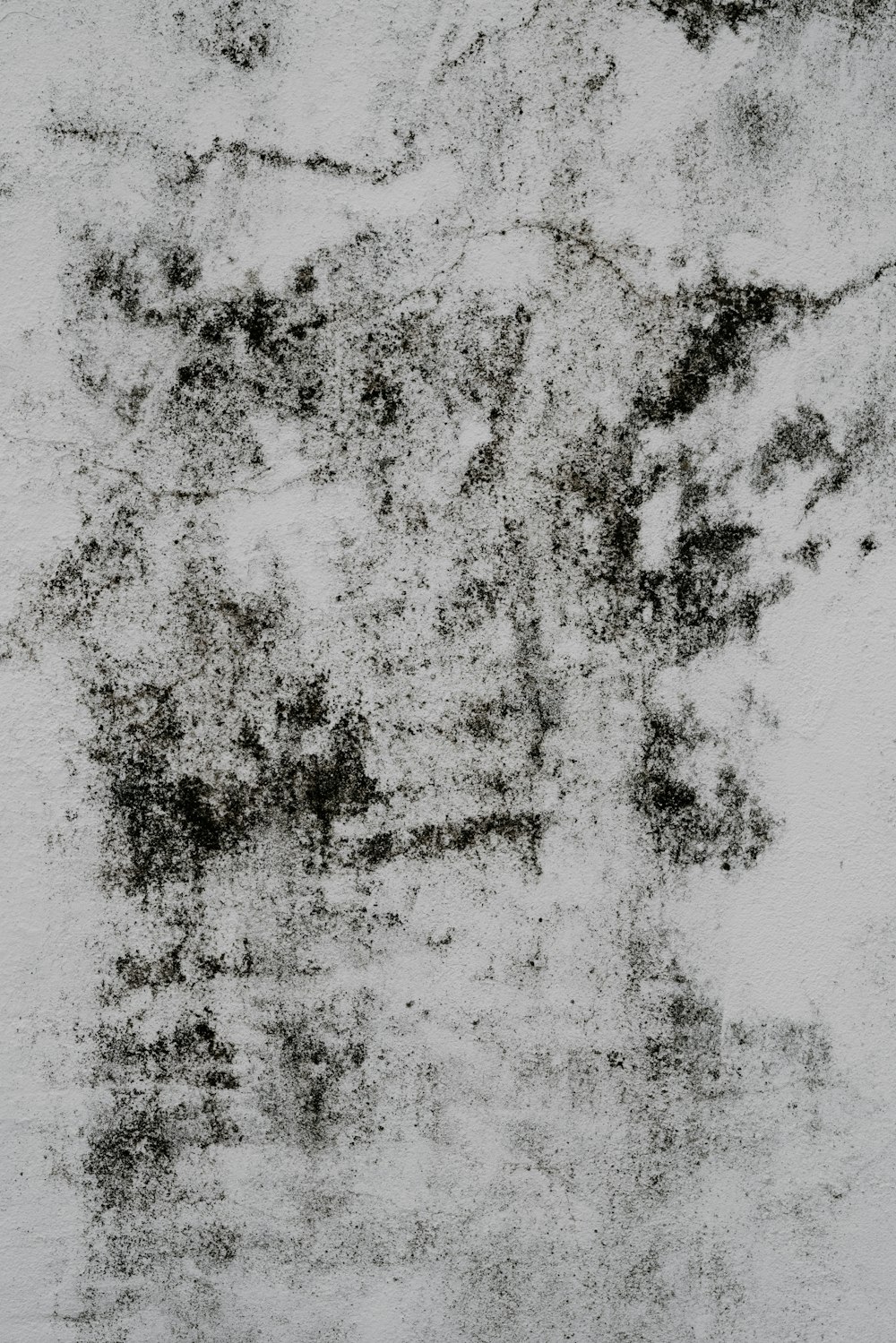 Una foto en blanco y negro de una pared