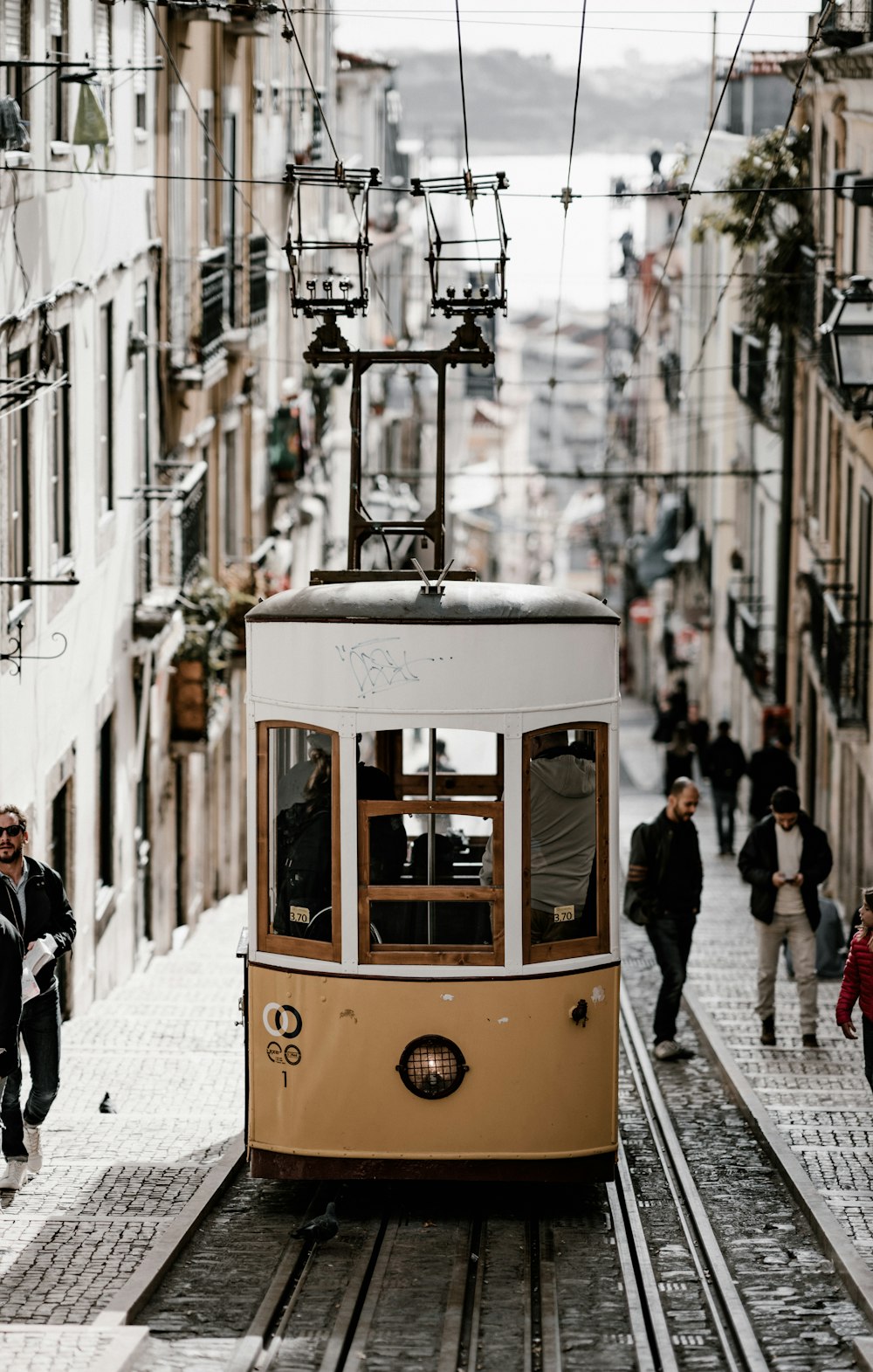 brown tram along buildings