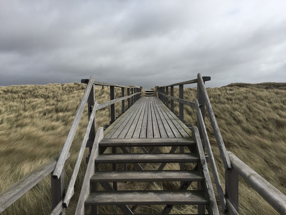 brown wooden bridge leading to grass field