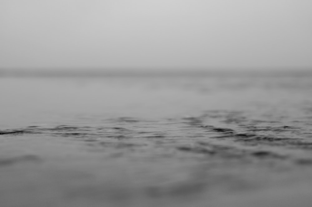 Una foto in bianco e nero di uno specchio d'acqua