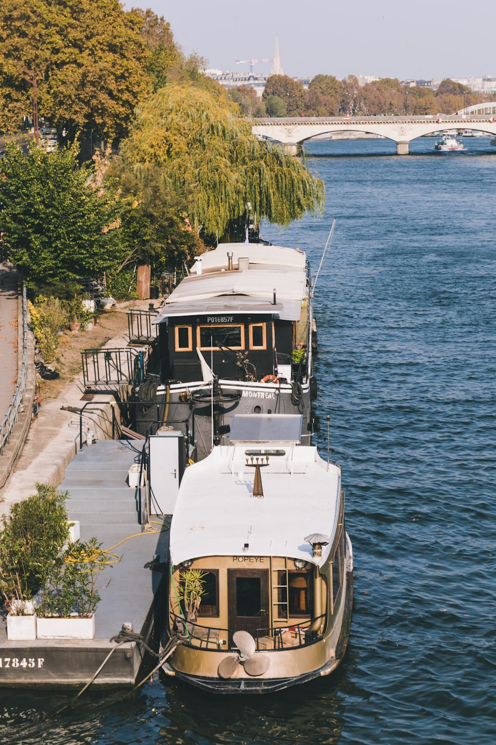 white and beige boats near beach dock viewing bridge during daytime