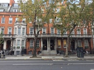 Charming London street view showcasing a row of well-maintained rental properties.