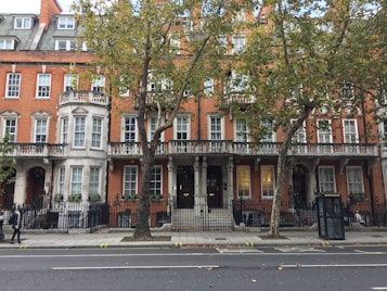 A row of elegant, traditional British townhouses with red brick facades and white window frames line the street. Trees with green foliage partially obscure the architecture, while a black bus stop is visible on the sidewalk.