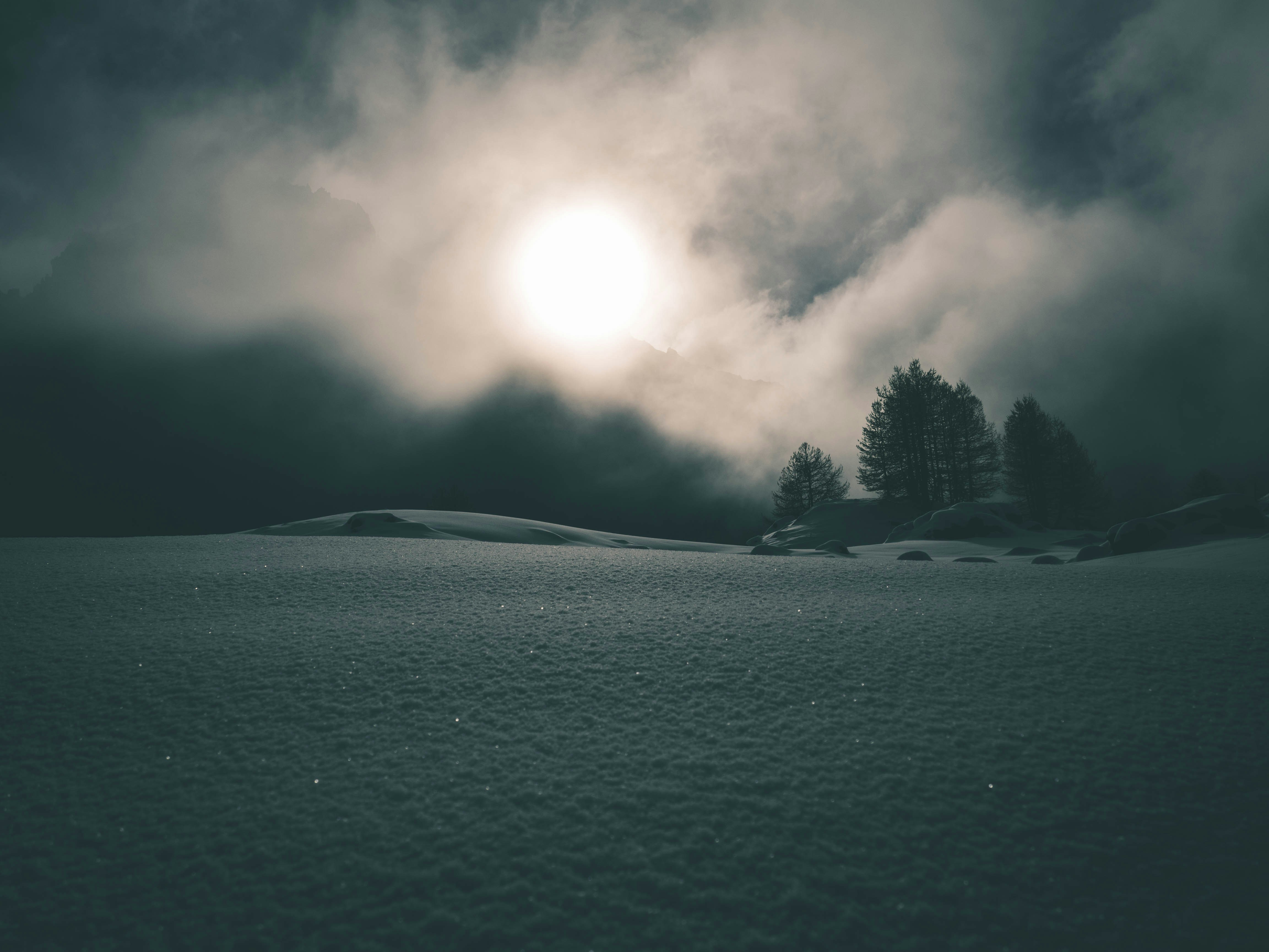 green trees under white clouds, During this little weekend in the Alps I suggested to my family go the Lac du Lauzet but the weather wasn’t good. Locals told us that there would be no snow there. It appeared that after 2km we had to walk into 10cm of snow.3km later the snow went up to 30cm and more at some places.1km later the path disappeared under the snow. My father wanted to turn back because of the night falling, but we motivated him to keep going. Results: he was first arrived. With the return, we walked 4km in the mud, 6km in 10cm of snow & 6km in 30cm. We were soaked and exhausted but proud of us and full of memories