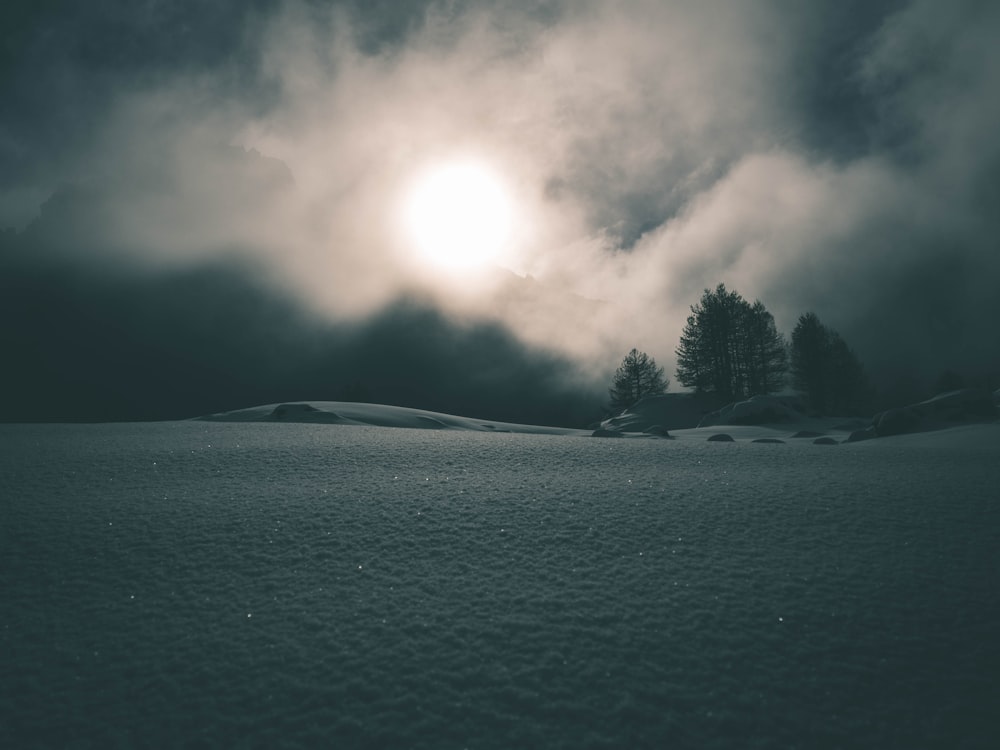 green trees under white clouds