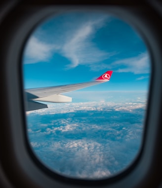 view of airplane's wing through window