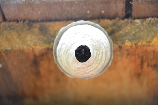A round, textured wasp nest with a central opening is attached to a wooden surface, showing natural variations in wood grain and color.