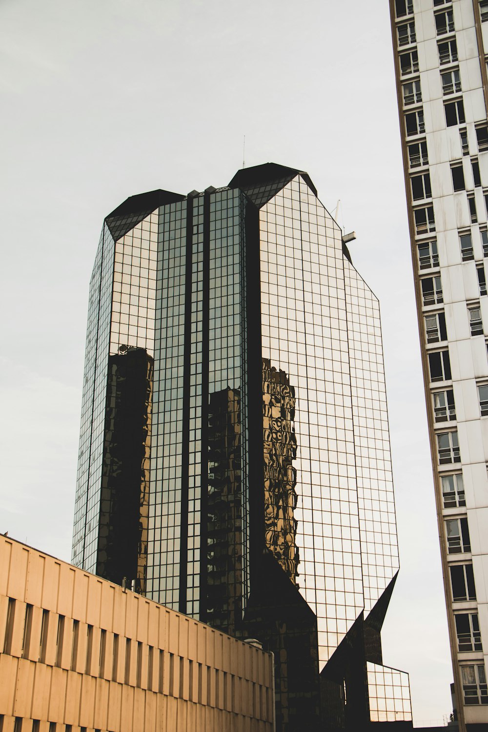 curtain wall building under white sky