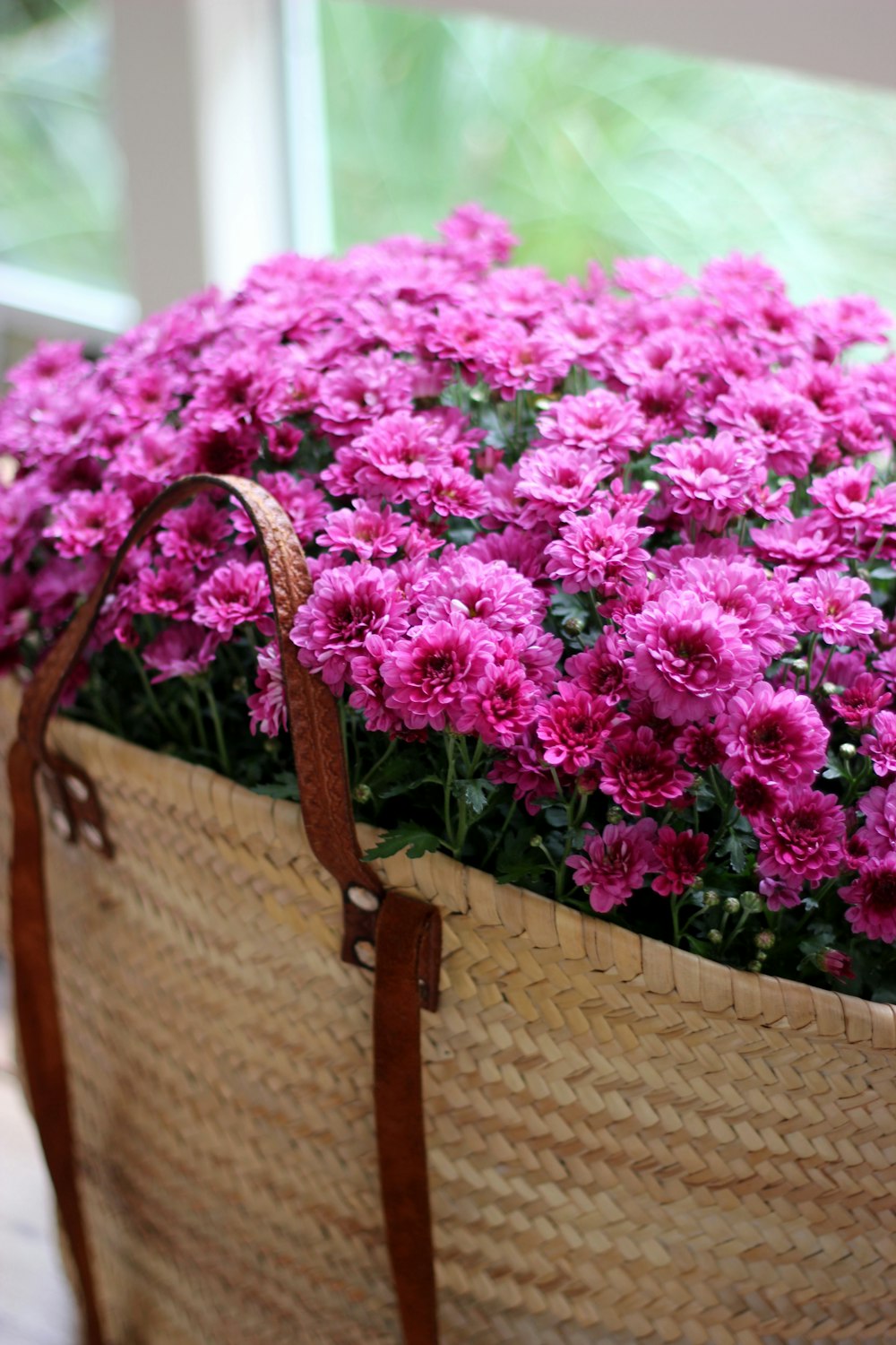 bag of purple petaled flowers