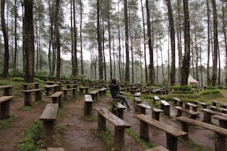A serene outdoor setting where attendees are engaged in quiet reflection.