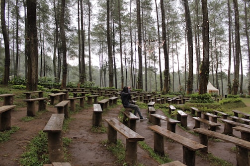 A peaceful outdoor gathering where participants reflect quietly under the trees.