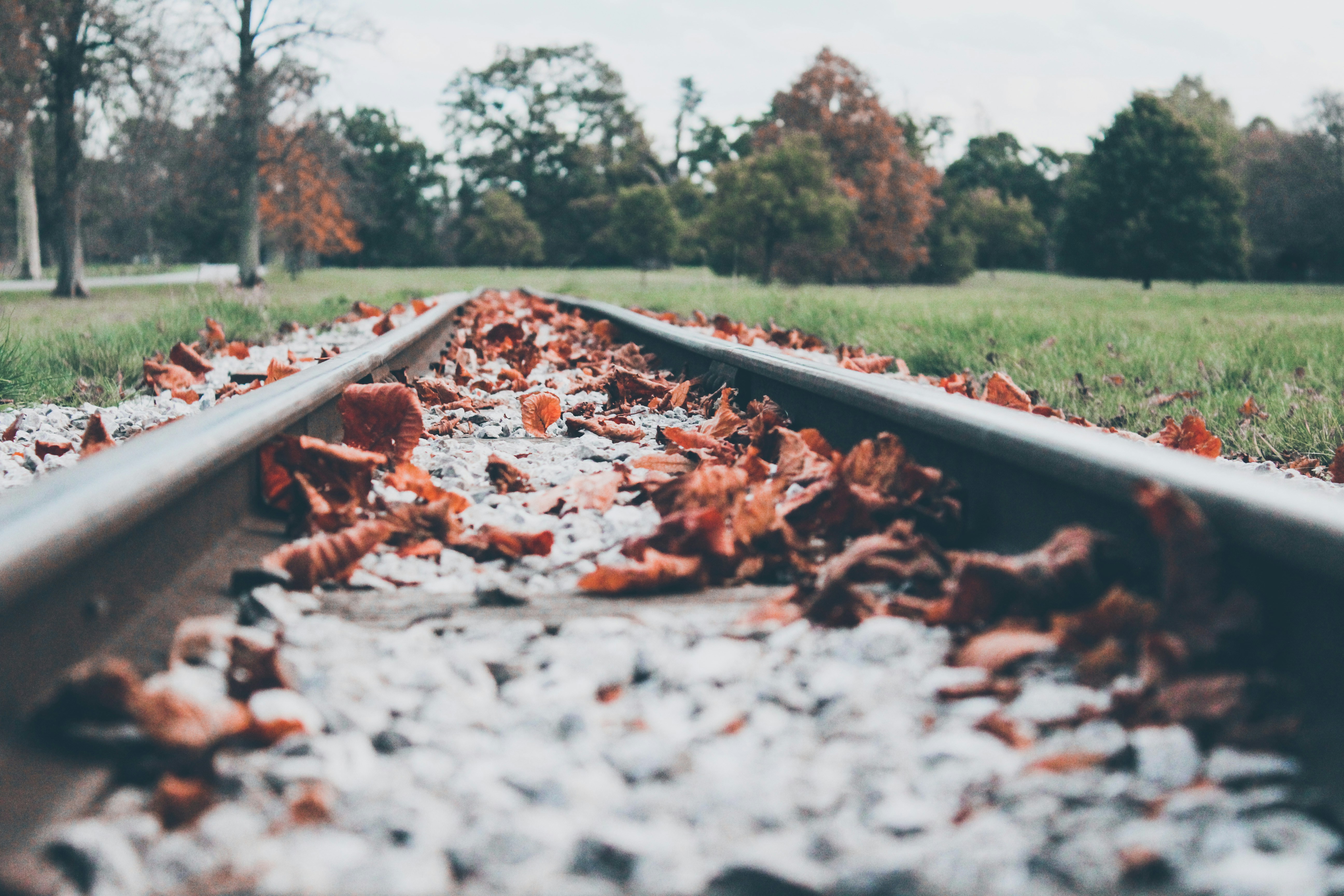 great photo recipe,how to photograph dried leaves on railway