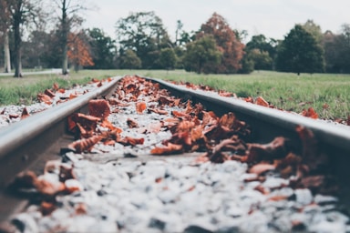 leading lines for photo composition,how to photograph dried leaves on railway