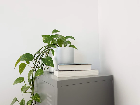 A minimalist office corner featuring a plant and design books, highlighting a calm, focused environment.