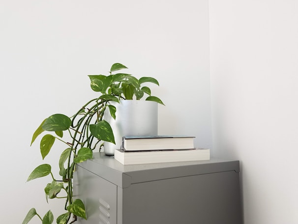 A minimalist setup featuring a green leafy plant in a white pot placed on a grey metal cabinet. Next to the plant, two stacked books lie horizontally. The scene conveys simplicity and tranquility.