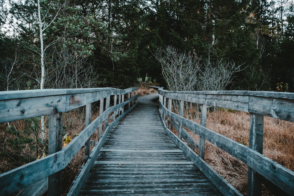 graue Holzbrücke zwischen Bäumen