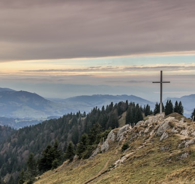 gray cross near tall green trees