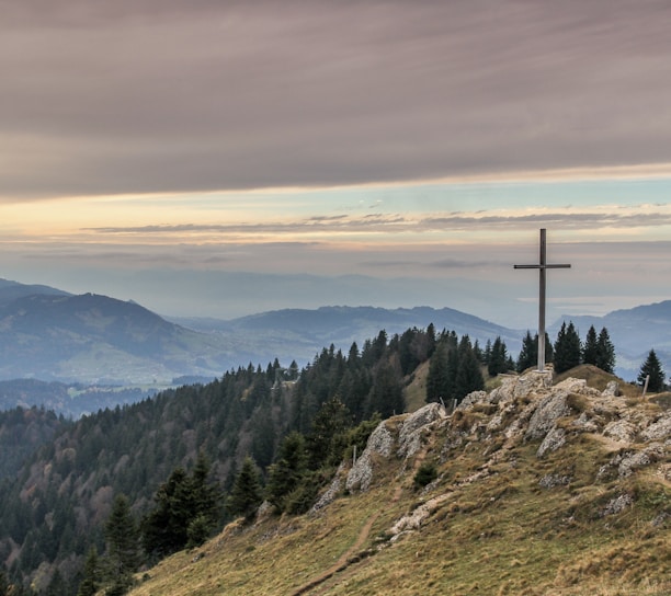 gray cross near tall green trees