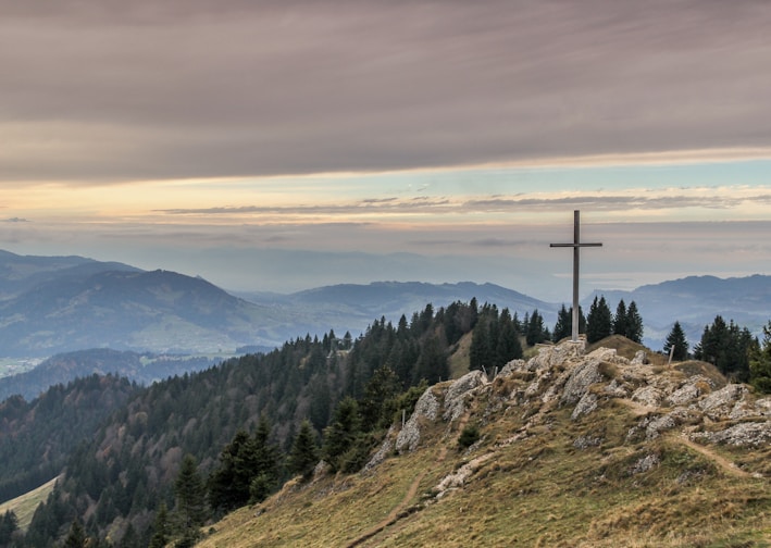 gray cross near tall green trees