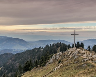 gray cross near tall green trees