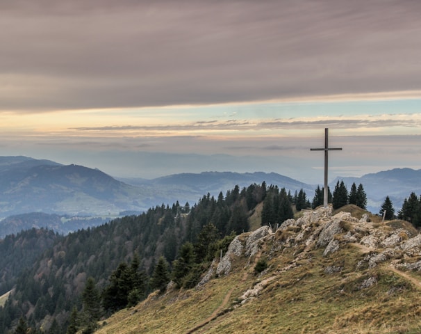 gray cross near tall green trees