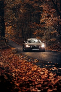 Luxury Road Trip