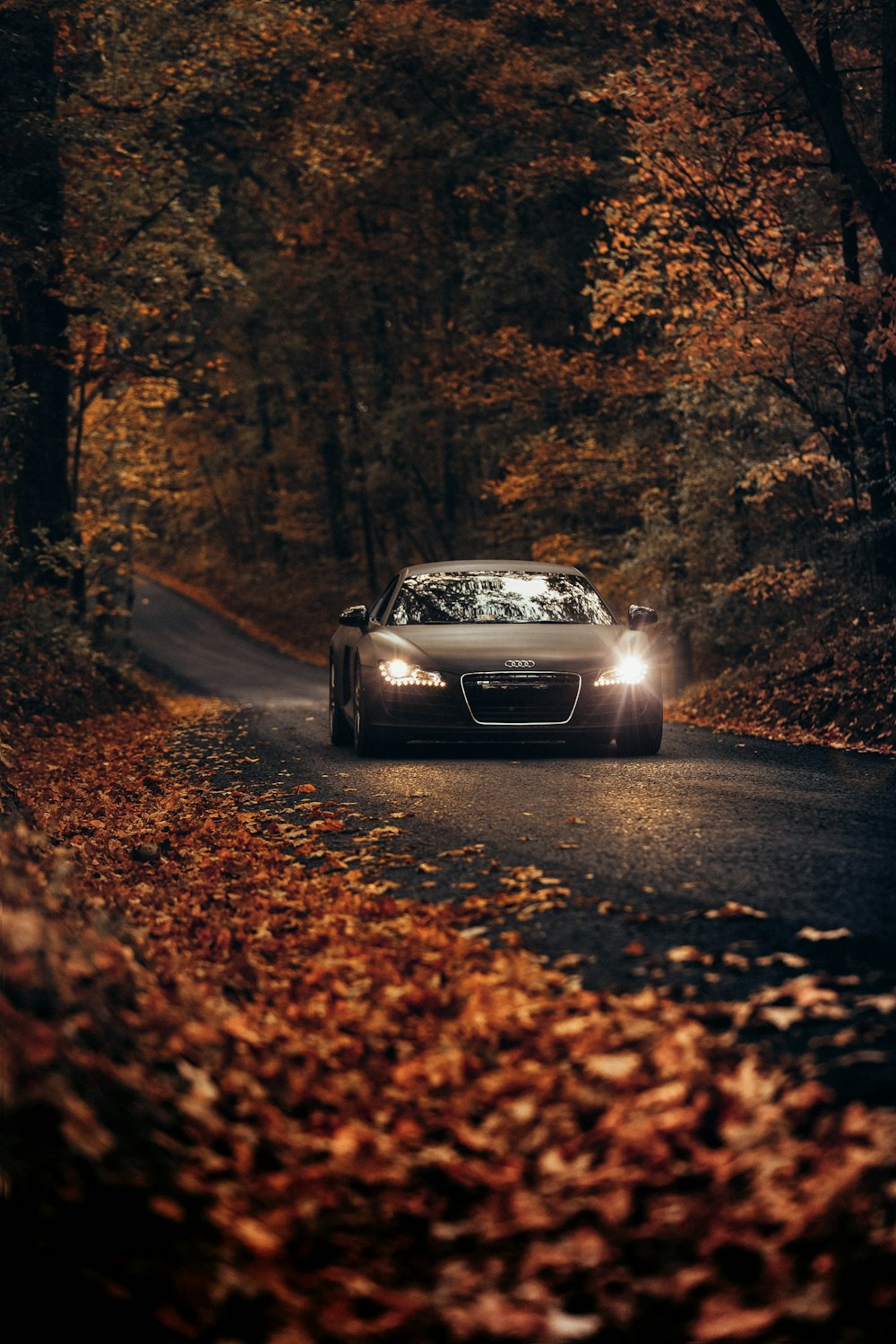 black vehicle on road between trees during daytime