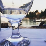 A beautiful coastal view of Torbay with a wine glass in the foreground.