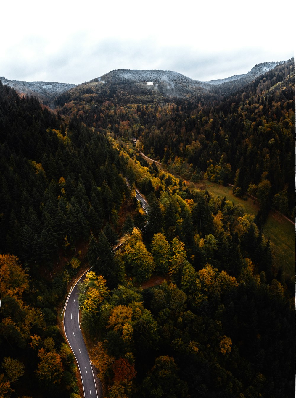 route vide entre la forêt