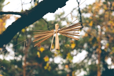 A handcrafted figure made from natural materials is suspended on a string, resembling an angel or bird. It's surrounded by a forest-like background with soft, blurred autumn foliage in yellows and greens.
