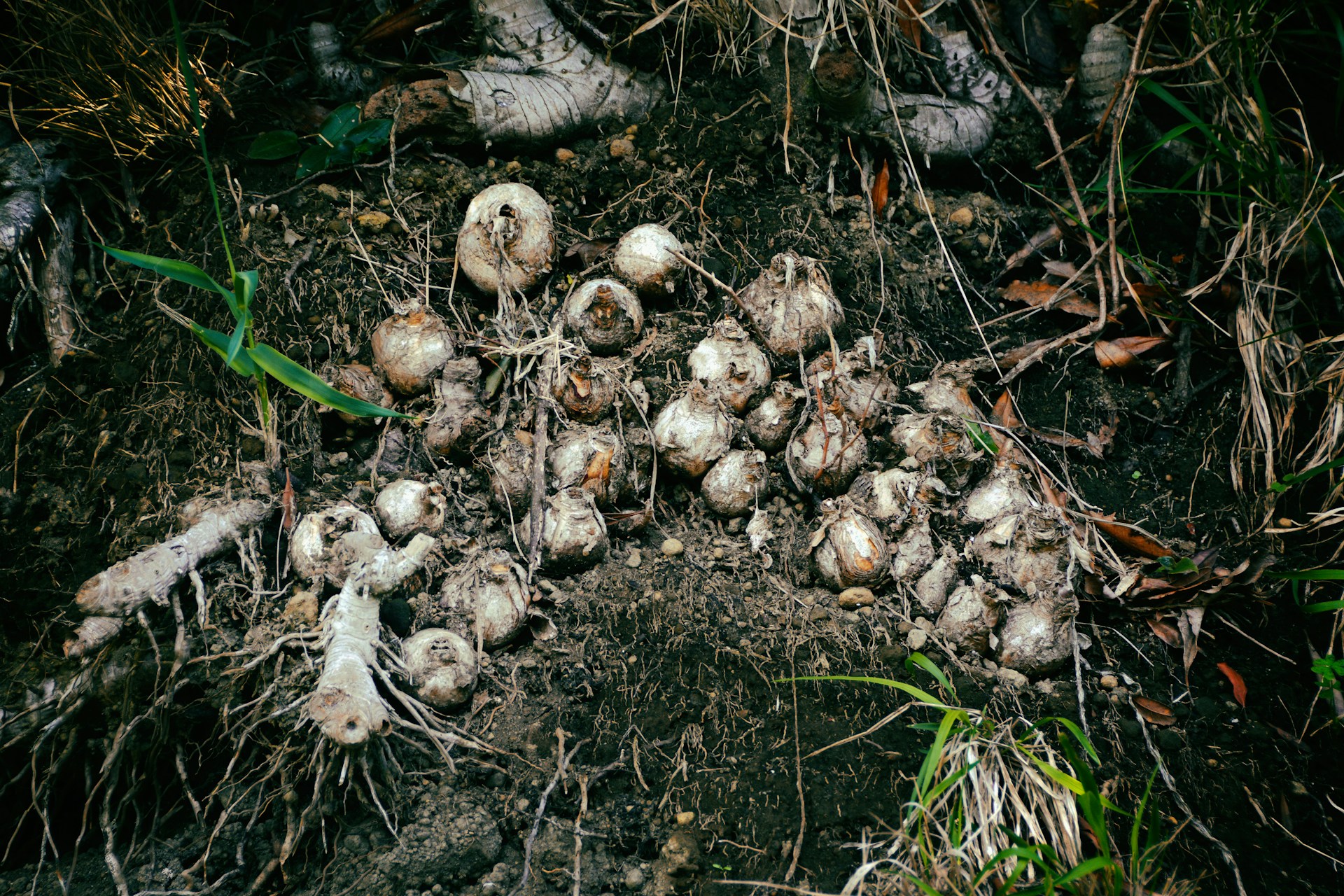 black and white bed linen