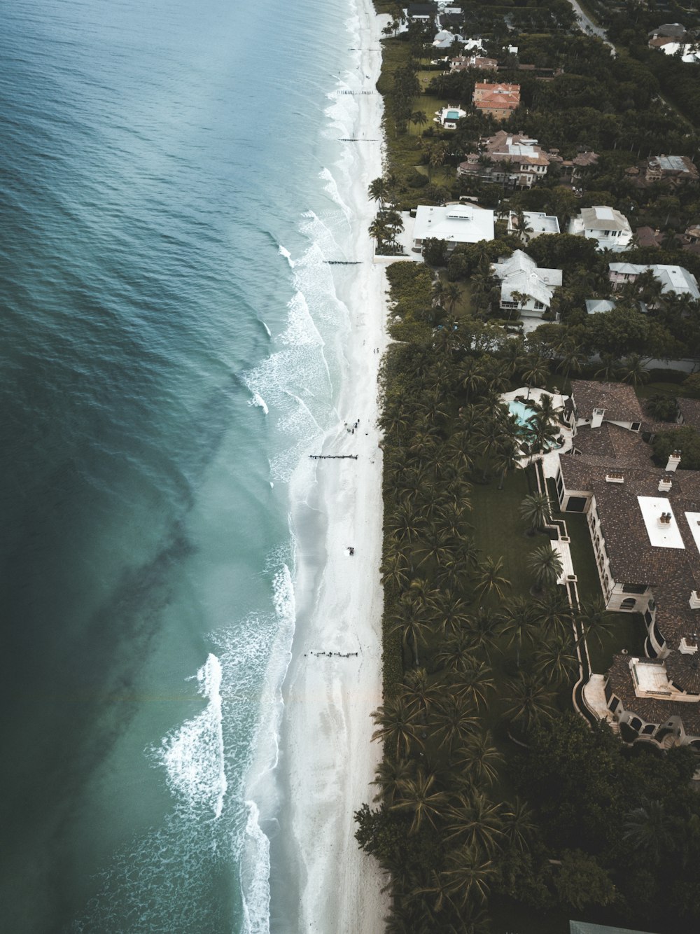 aerial view of buildings near ocean