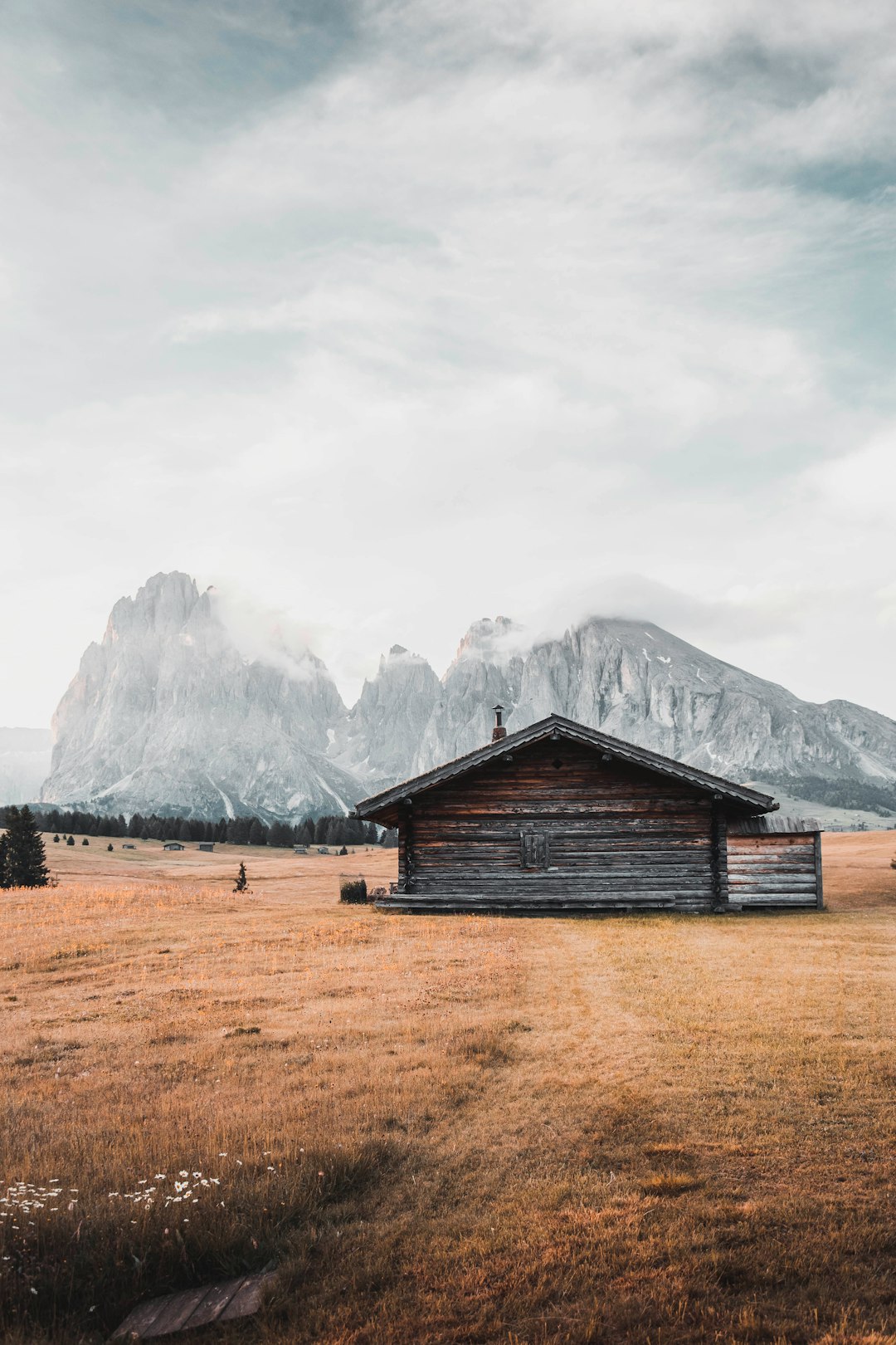 Ecoregion photo spot Alpe di Siusi Giau Pass