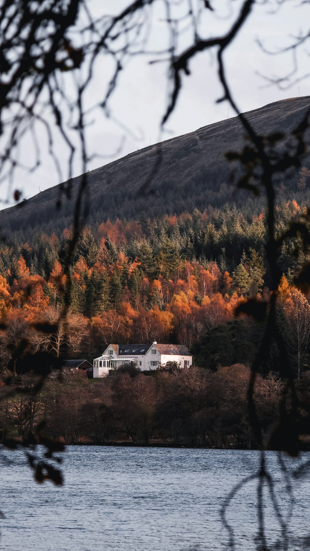 Casa Bianca nella foresta vicino al lago