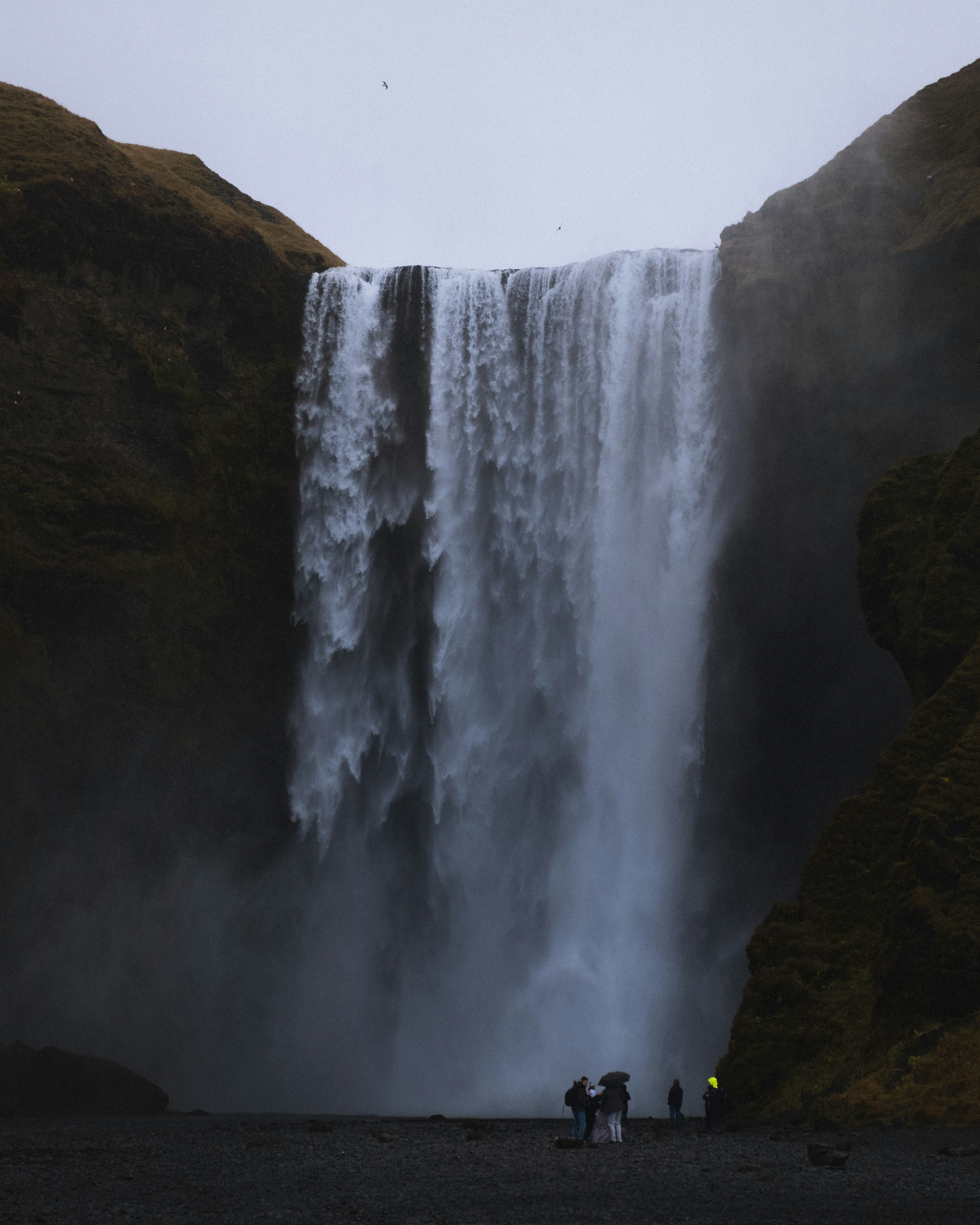 Photo by twentyonekoalas