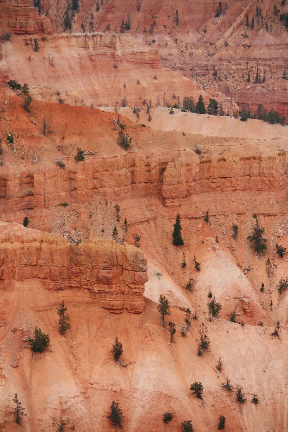 brown rock formation