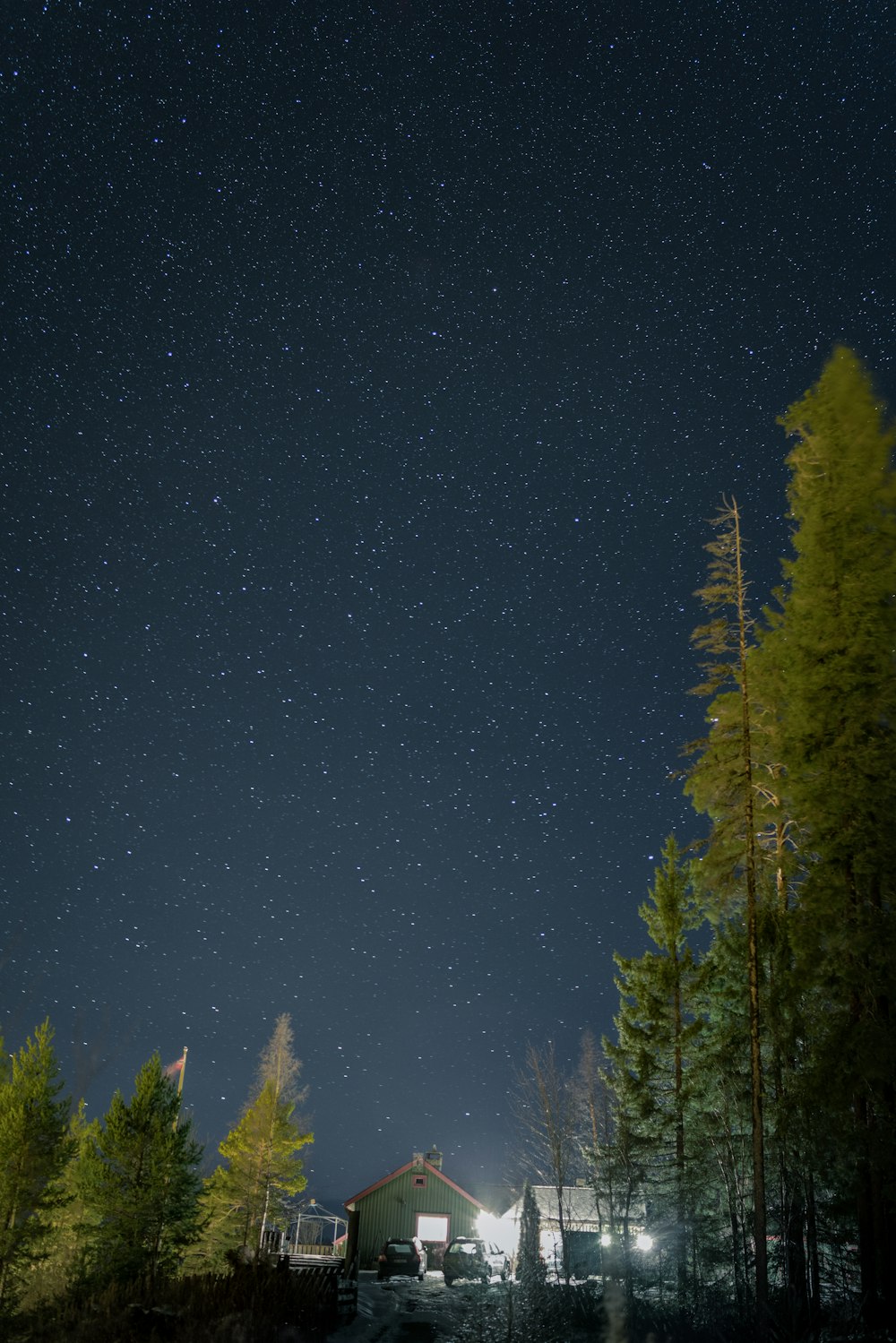 houses and trees under starry night