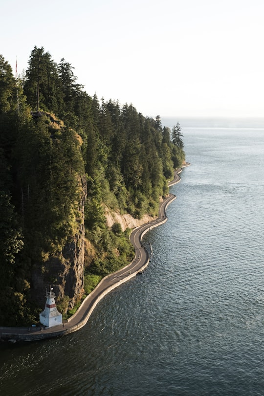 winding coastal highway at daytime in Stanley Park Canada