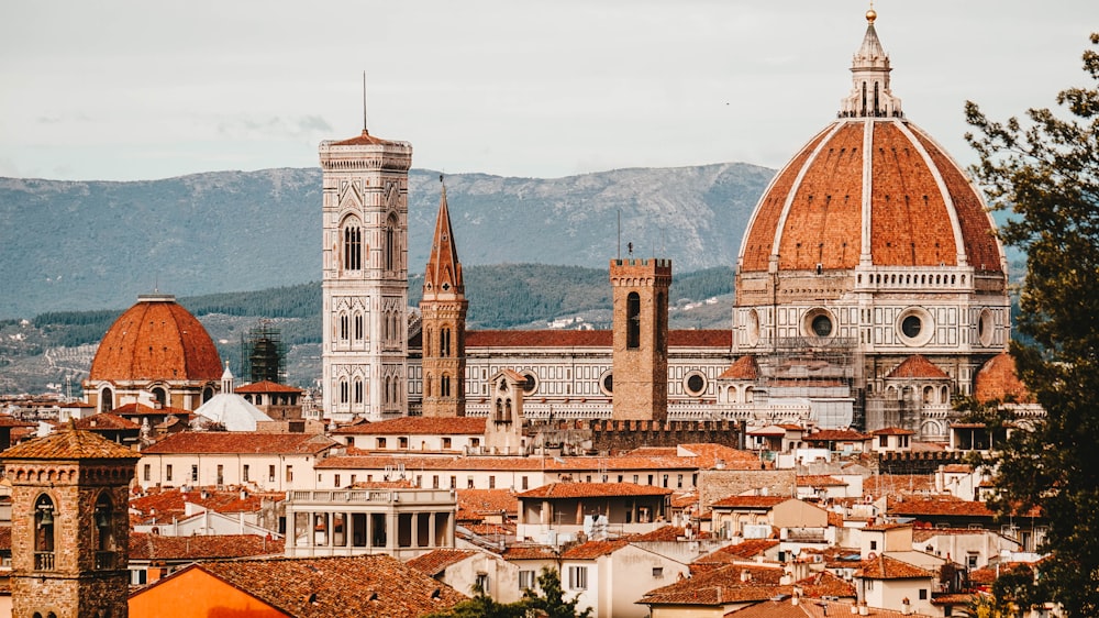 edifici marroni e bianchi durante il giorno