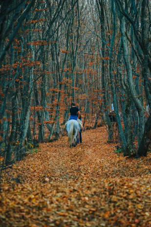 A serene horseback ride along a forest path framed by autumn leaves.