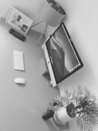 Minimalist desk setup with a plant and a laptop on a light background.