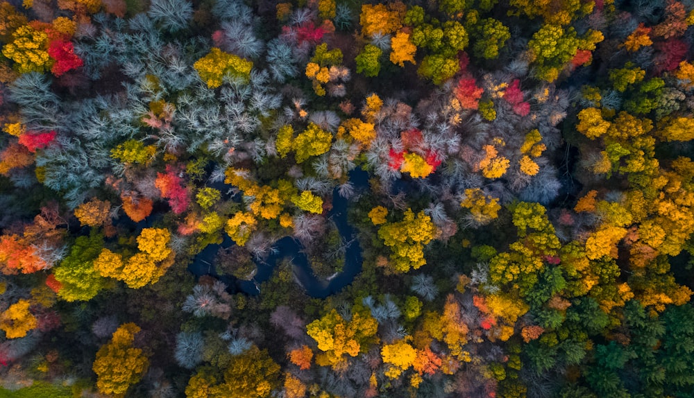 green trees