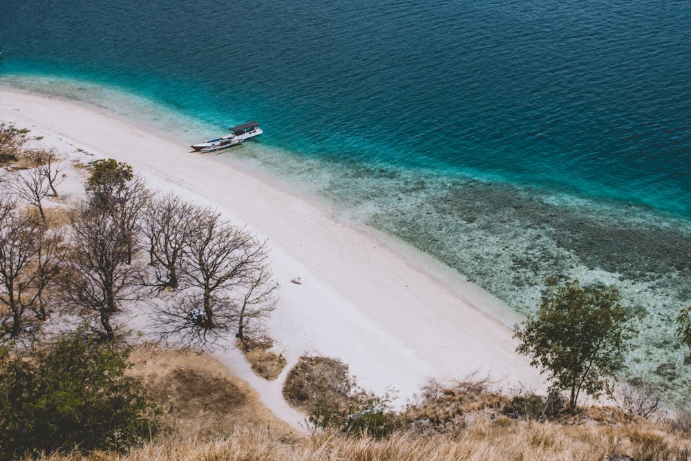 white boat dock on shore during daytime