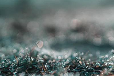 Macro shot of golden flaxseeds glistening with morning dew.