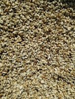 Close-up of mixed seeds spilling from a handcrafted linen sack onto a natural fiber mat.