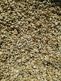 Fresh seeds spilling from a burlap sack onto a wooden table.
