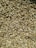 A close-up view of a large quantity of loose seeds, predominantly pale brown and white in color, scattered evenly across the surface.