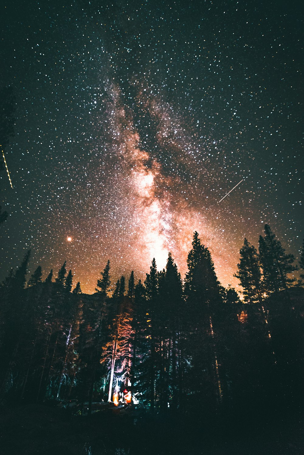 bosque de pinos bajo el rastro de estrellas de la Vía Láctea por la noche